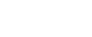 Logo Faculdade Falcão - Cliente Agência Criativa